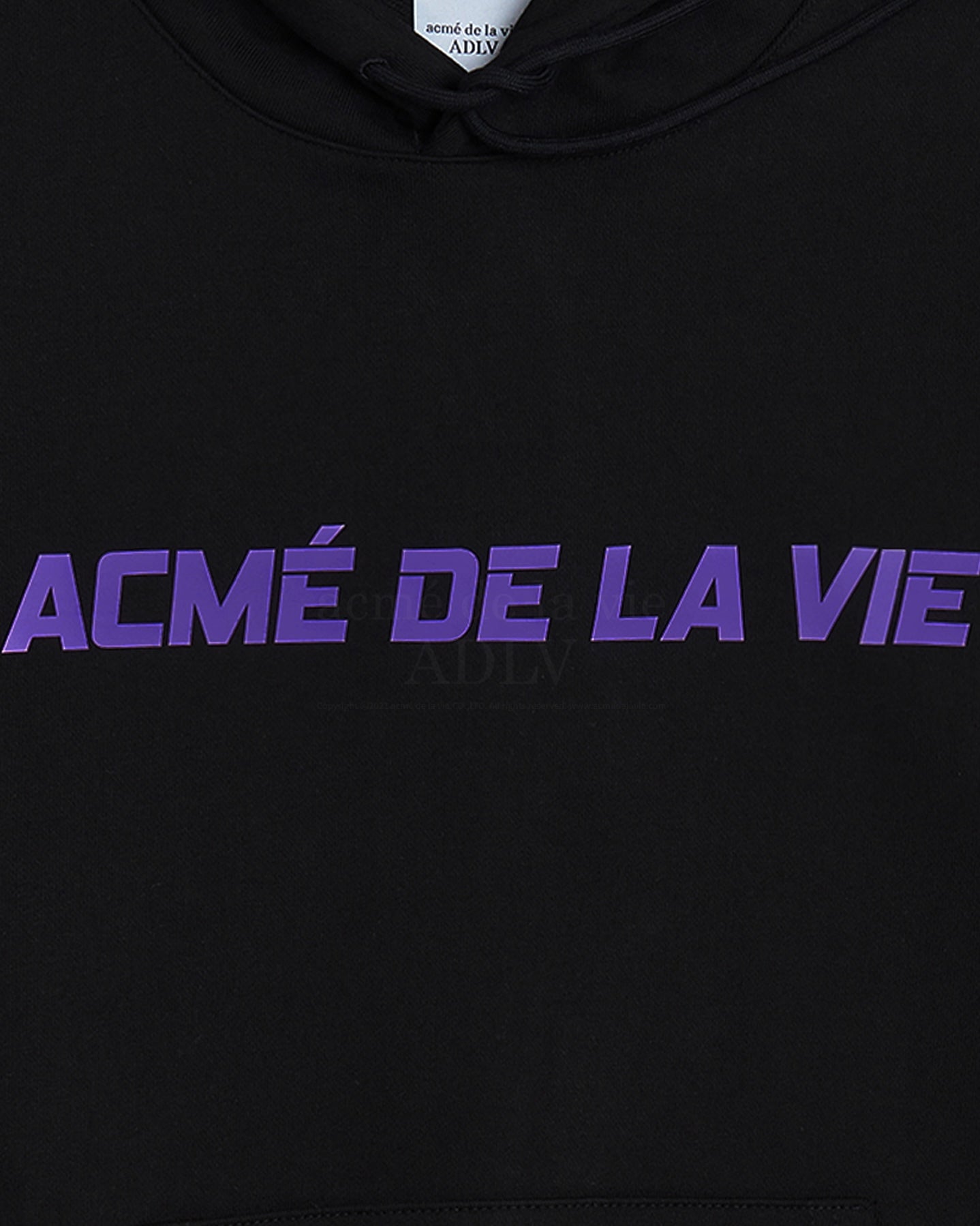 THERMOCHROMIC LOGO HOODIE BLACK (BLACK)