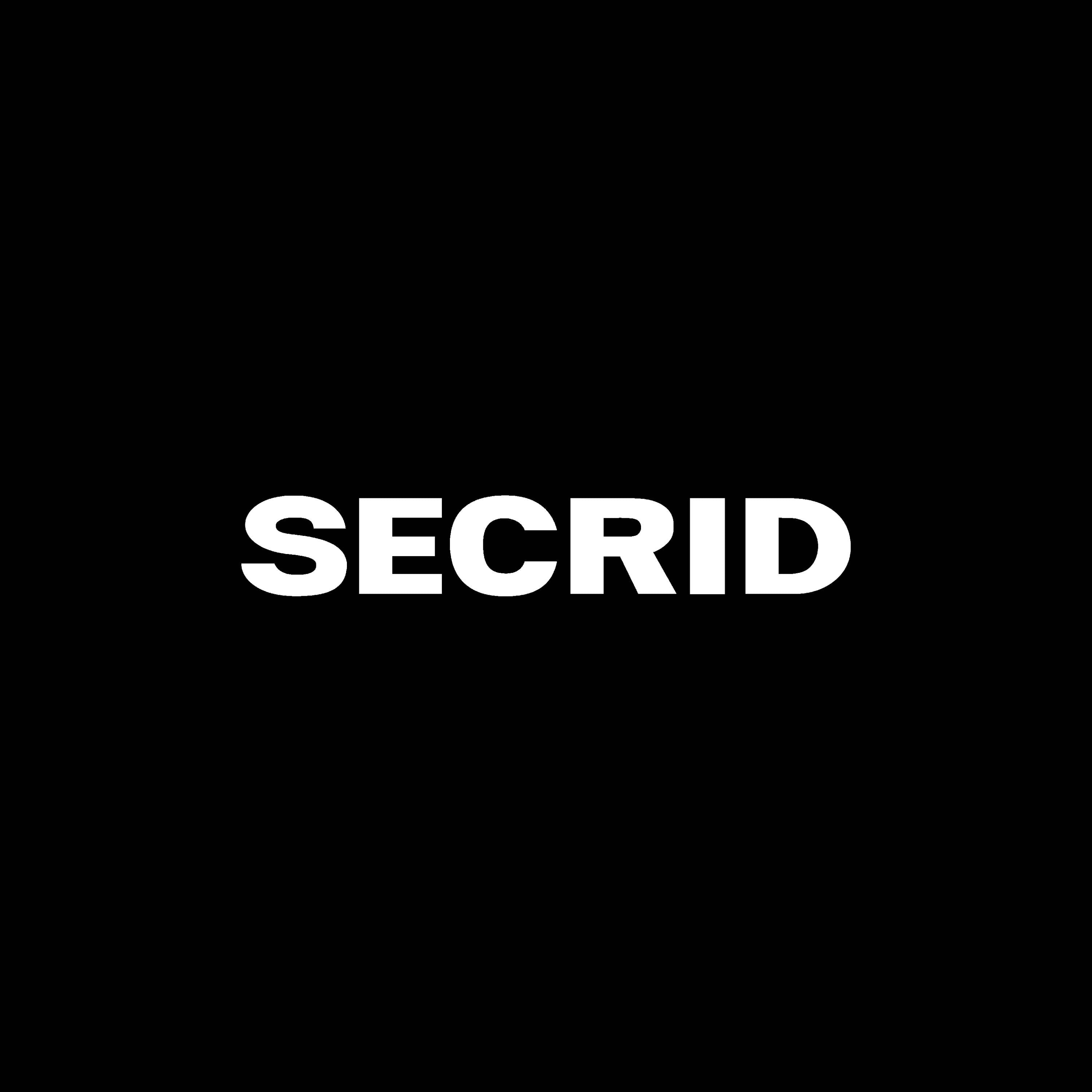 SECRID – THE BIG APPLE - The Urban Melting Pot of Fashion and Culture.