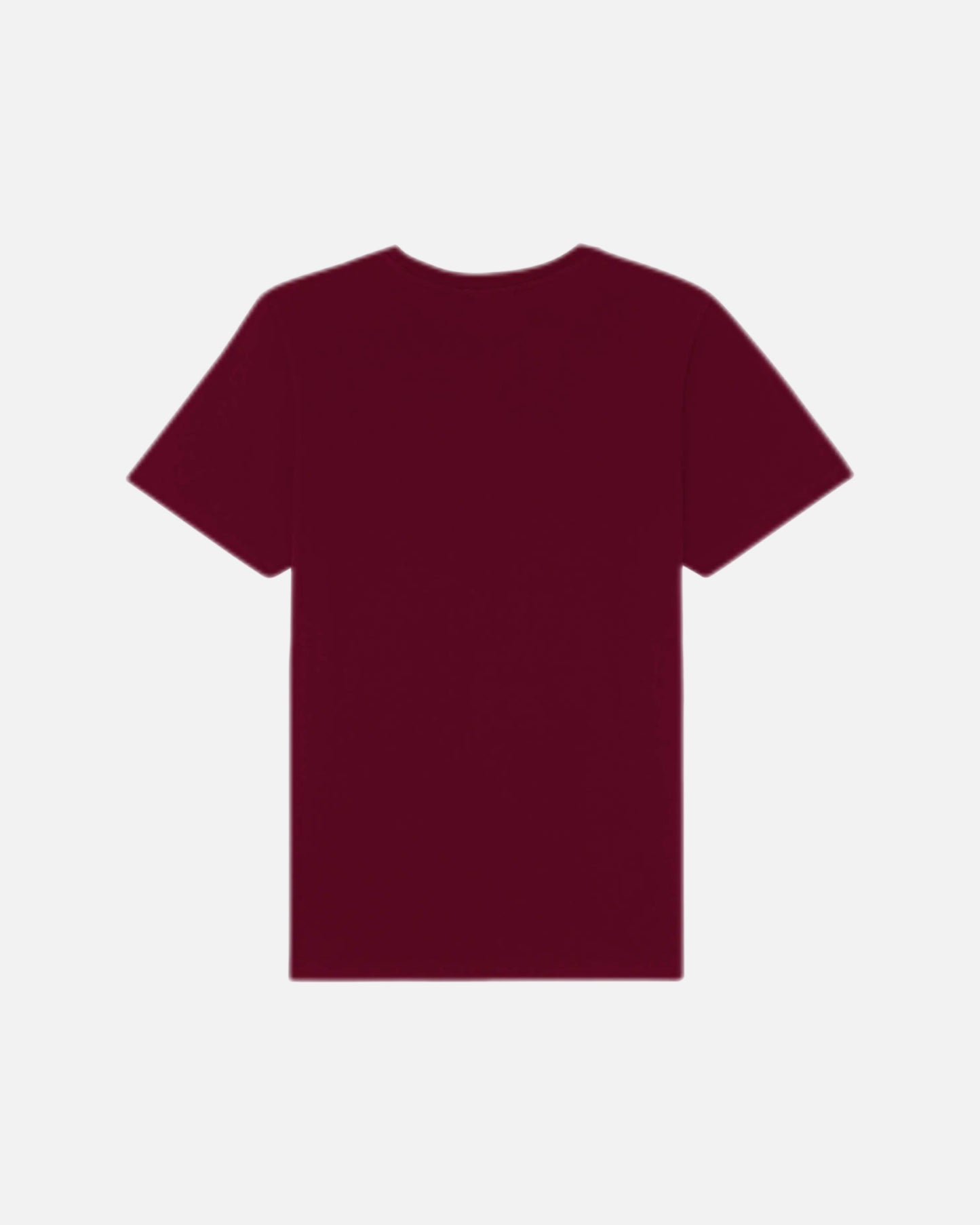 FOX HEAD PATCH REGULAR TEE SHIRT (BRICK RED)