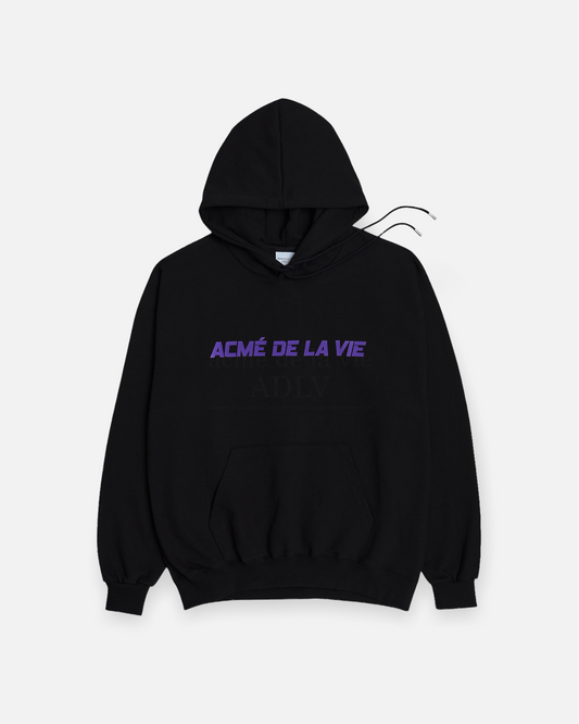 THERMOCHROMIC LOGO HOODIE BLACK (BLACK)