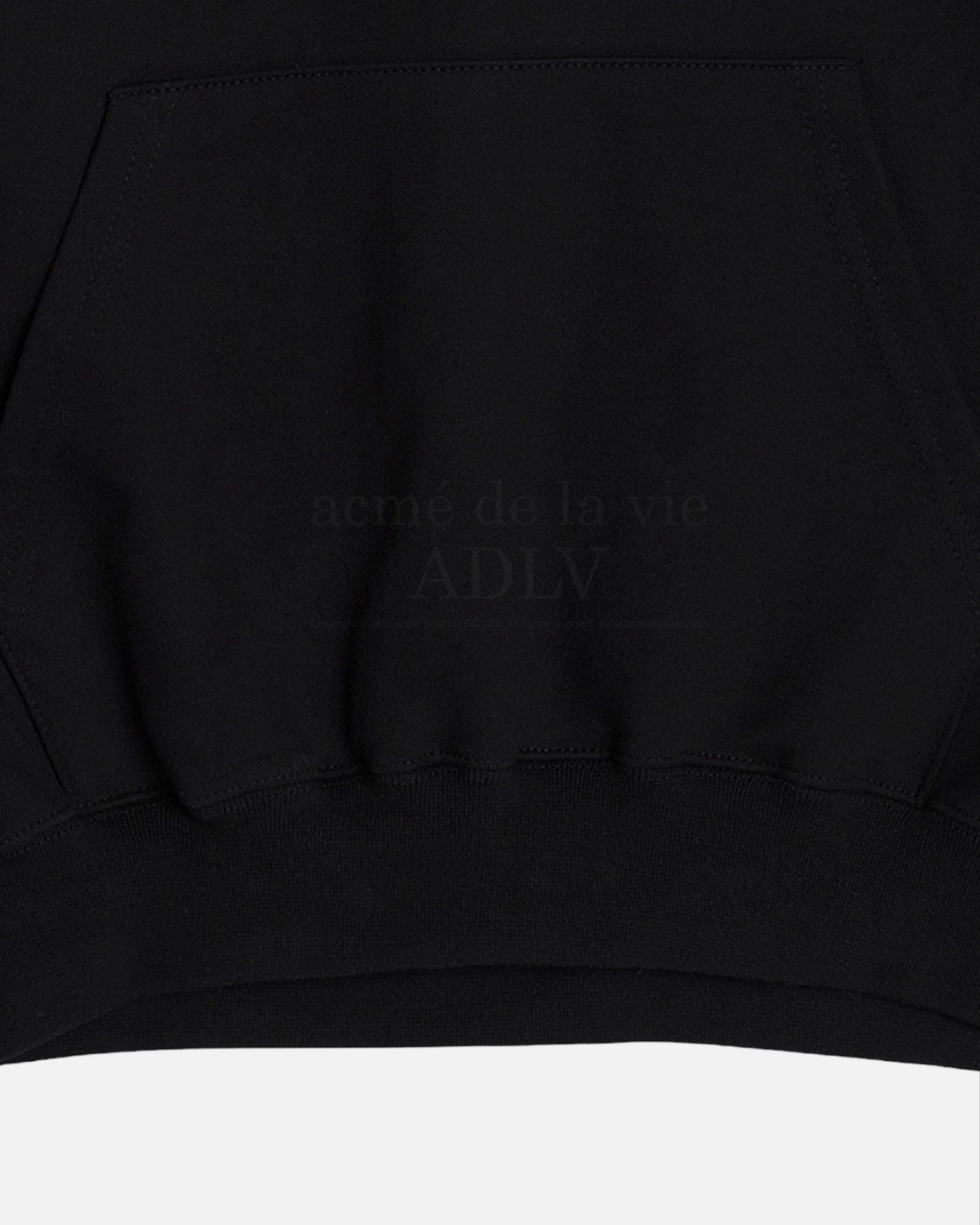 THERMOCHROMIC LOGO HOODIE BLACK (BLACK)