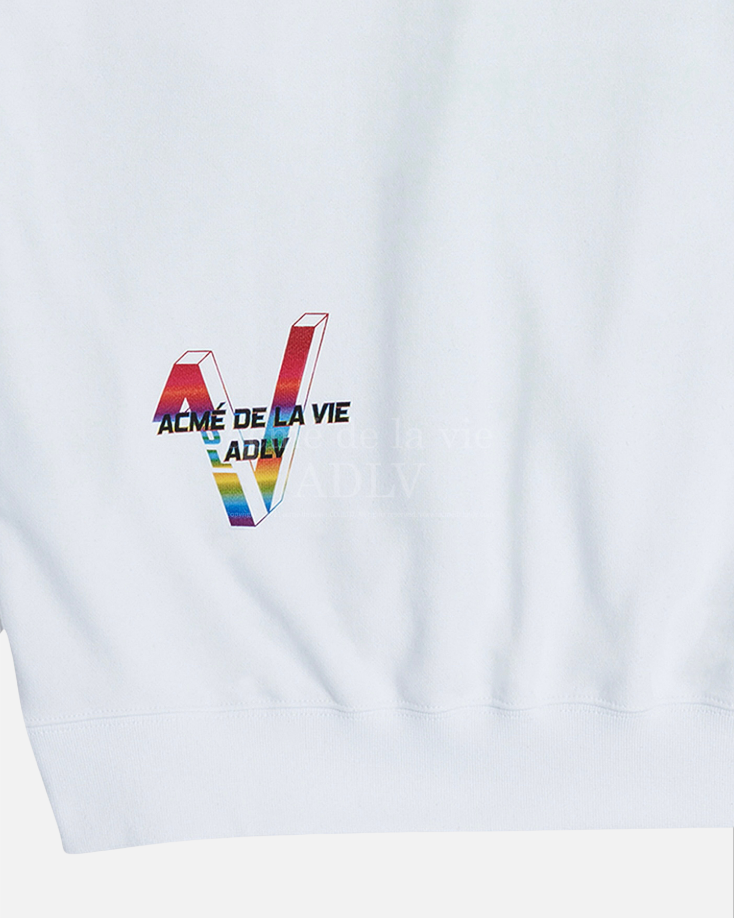 RAINBOW LOGO HOODIE WHITE (WHITE)