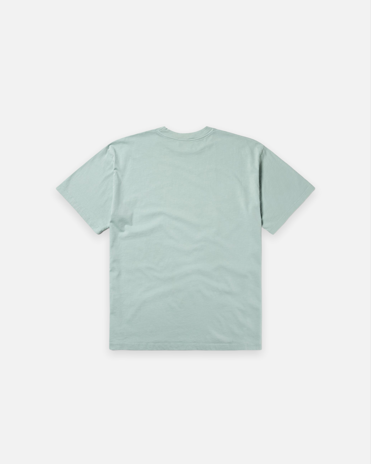 CRYSTAL NO PROBLEMO TEE (PALE MINT)