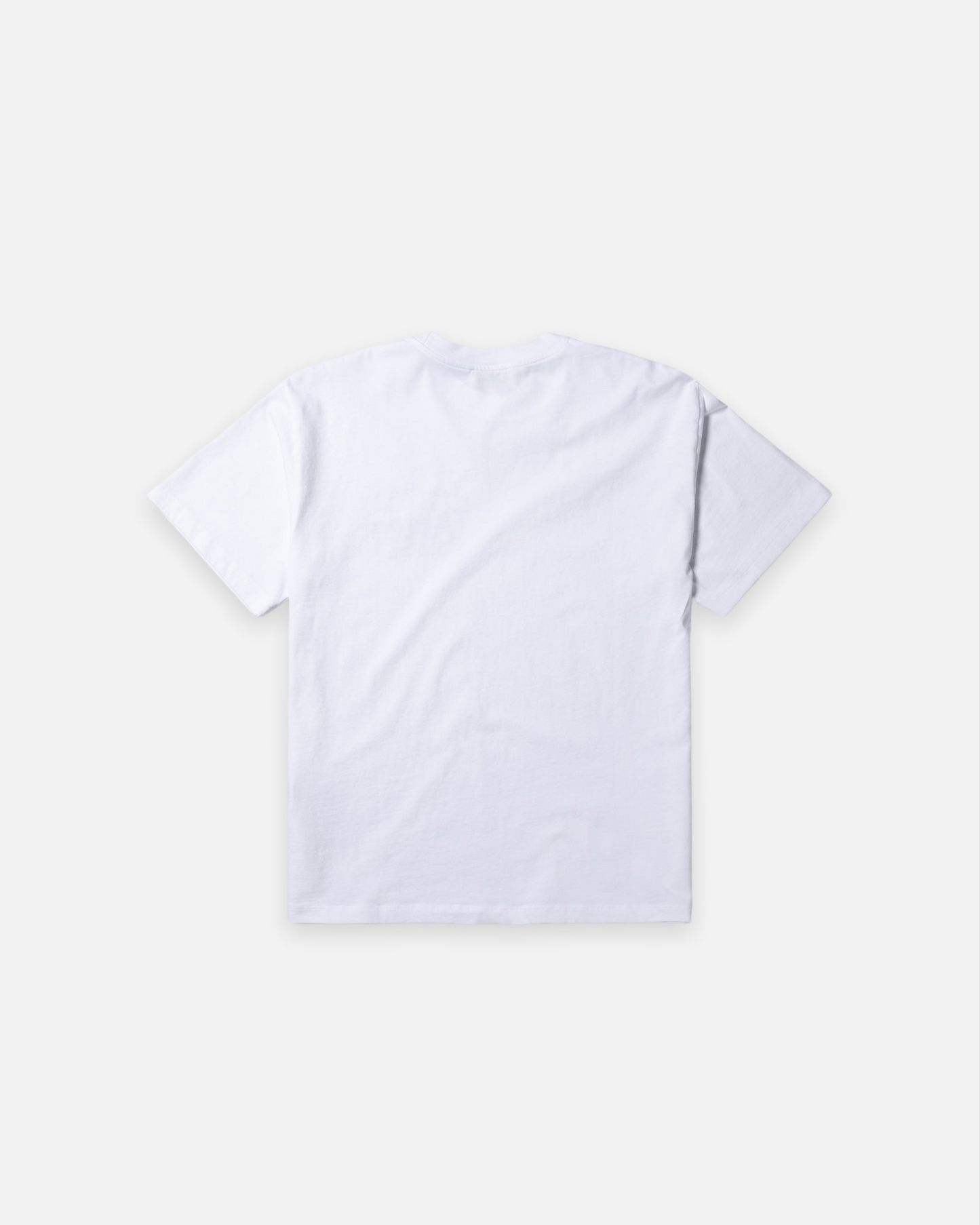 TEMPLE SS TEE (WHITE)