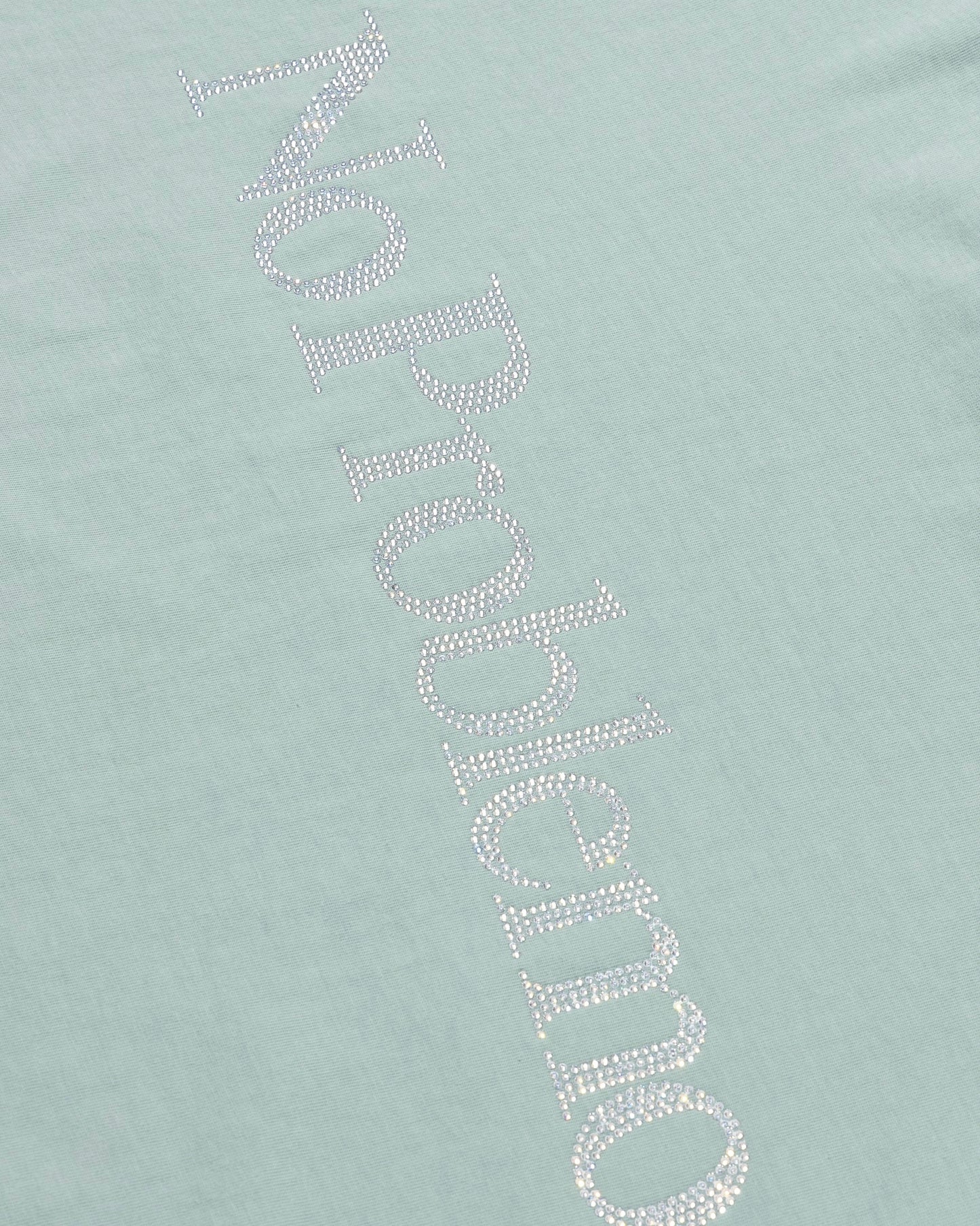 CRYSTAL NO PROBLEMO TEE (PALE MINT)